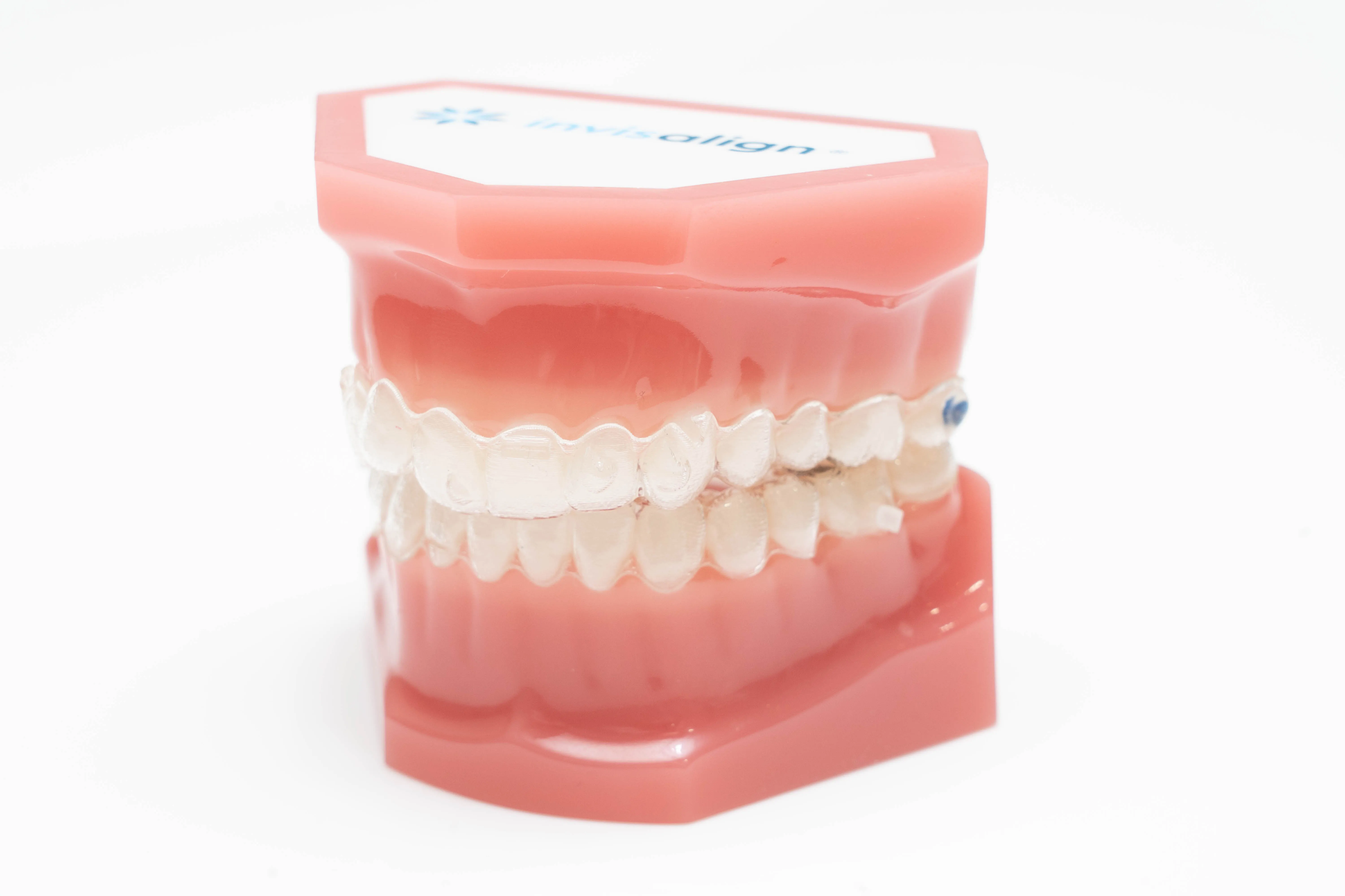 中野区のこどもの矯正・大人の矯正歯科は東中野矯正歯科